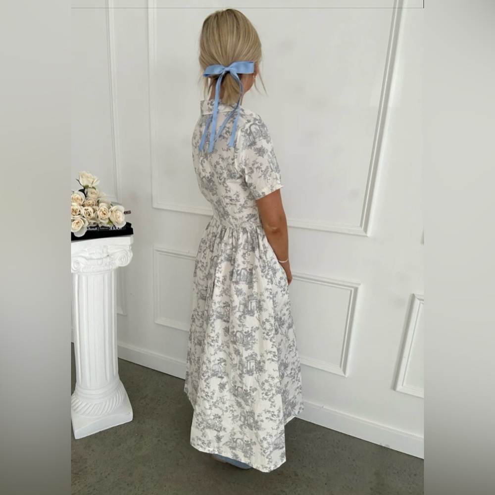 ***ISO*** Flourish in Frills Toile Delight Gray Midi Dress - Picture 3 of 4